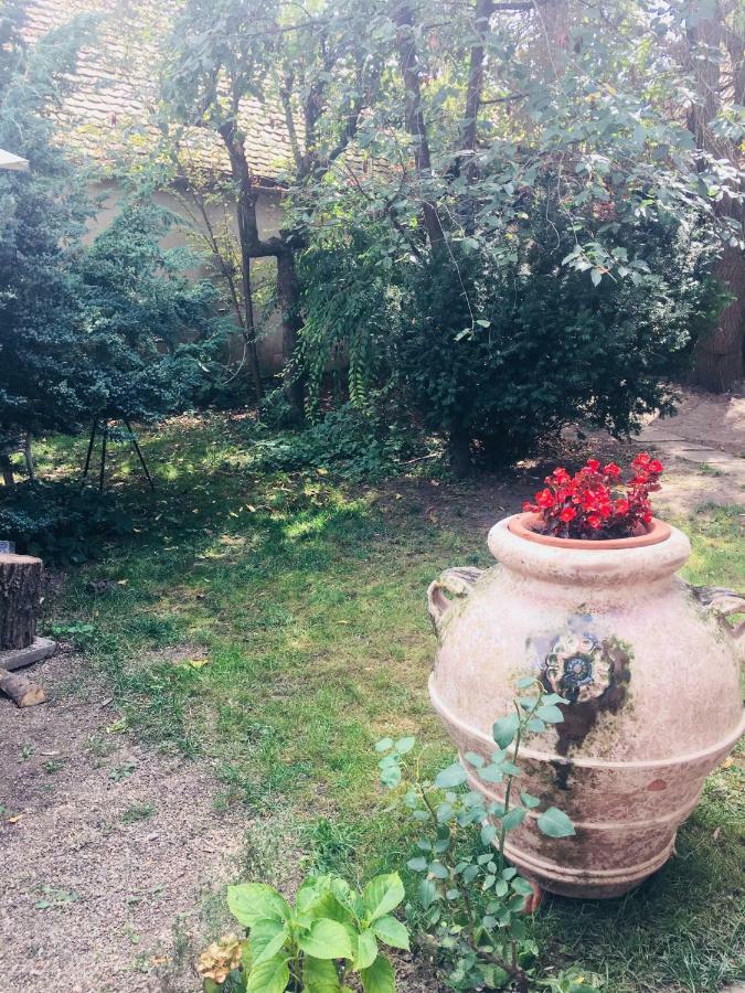 Casa Delia Leilighet Laslea Eksteriør bilde